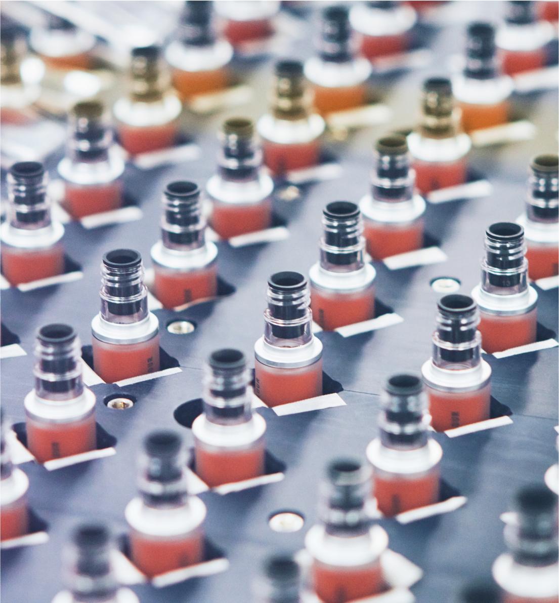 Close-up of coral-colored lip tint products lined up on the production line at COSMAX factory
